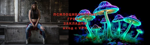 дмт Майский