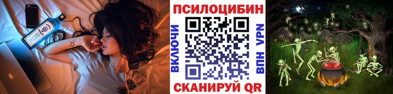 ссылка на мегу как зайти  Салехард  Псилоцибиновые грибы Psilocybe 
